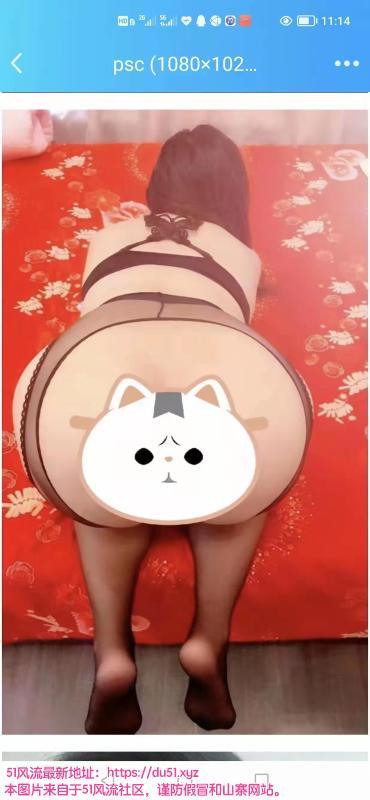 体验黄浦保险兼职慧慧