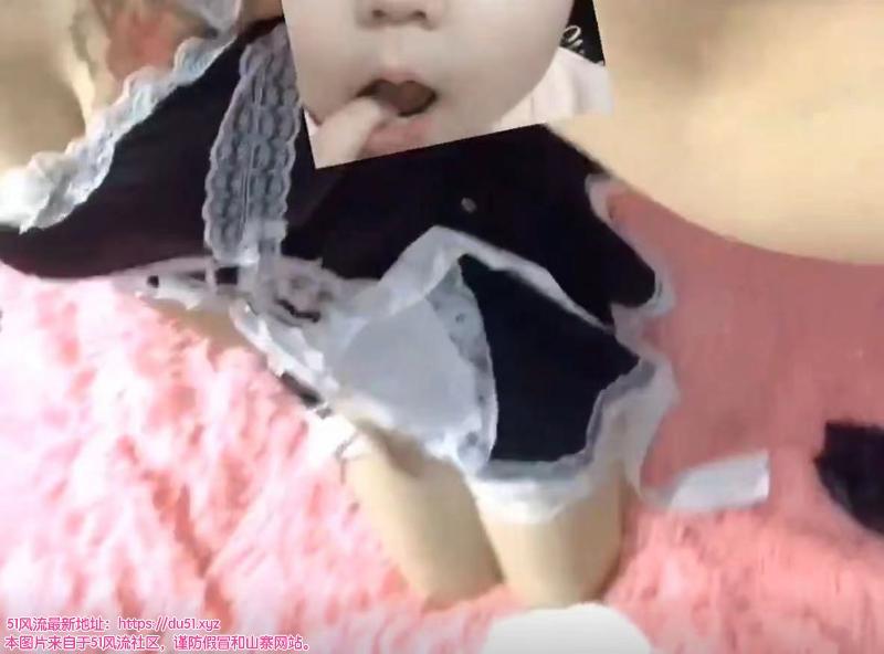 秦淮区娇小型豆豆