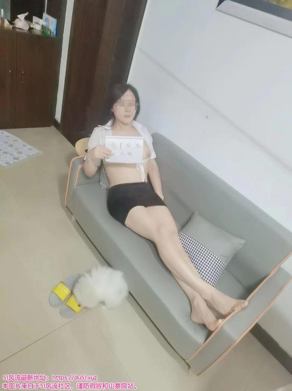 性价比野玫瑰点点