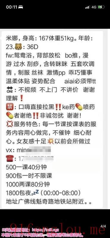 佛山魁奇路附近米娜