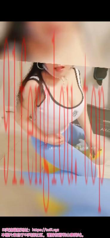 南山大新大奶兔