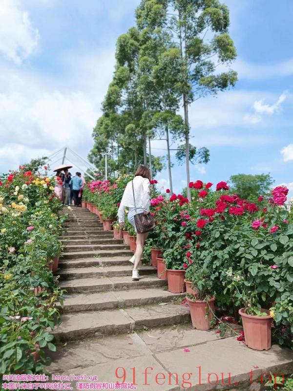 水多紧的大长腿