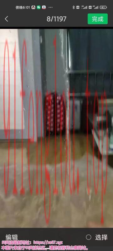 荣盛时代野蔷薇