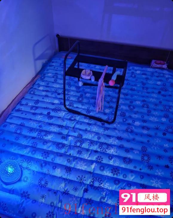 水床翘臀小刺猬